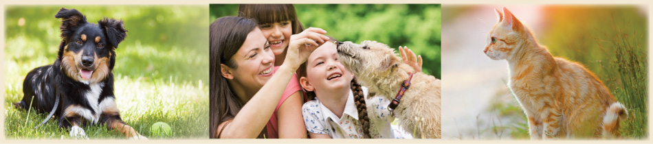 Pet Supplies Header Image